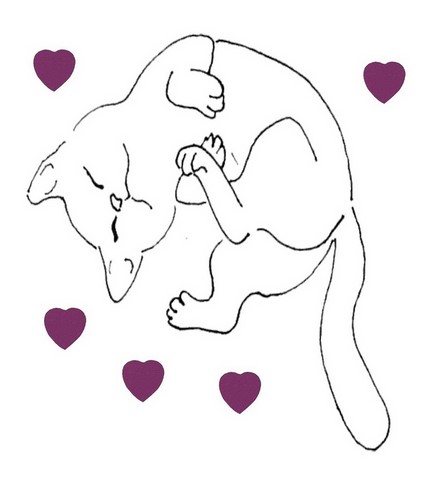 Drybed ® pour chats Drybed ® pour chats